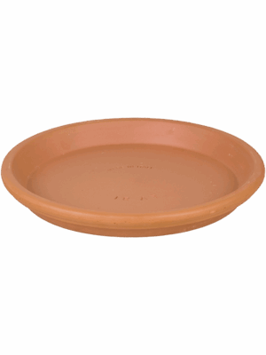 Terra Cotta