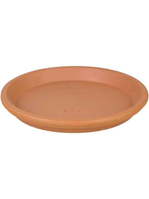 Terra Cotta