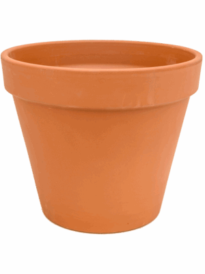 Terra Cotta