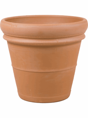 Terra Cotta