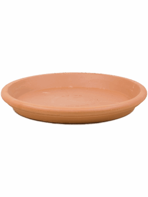 Terra Cotta