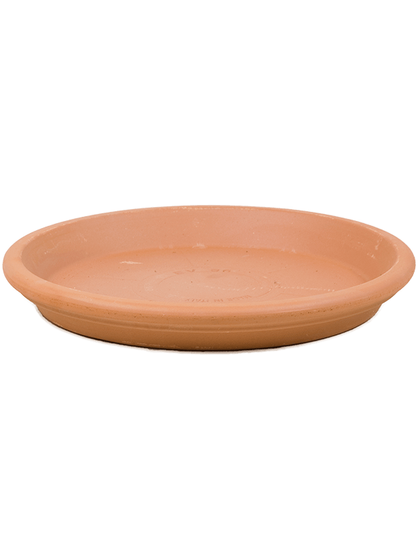Terra Cotta