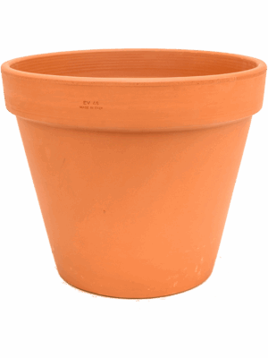 Terra Cotta