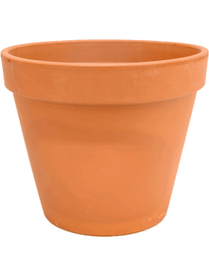 Terra Cotta