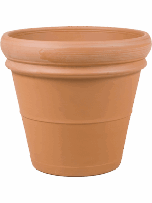 Terra Cotta