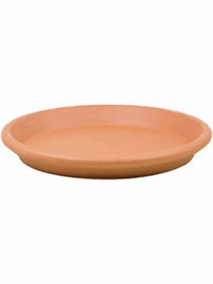 Terra Cotta