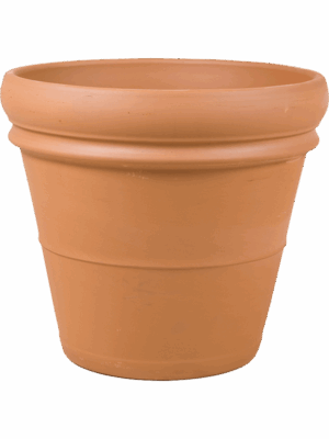Terra Cotta