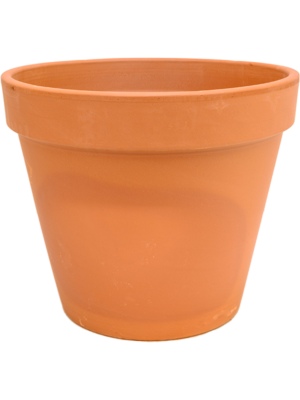 Terra Cotta