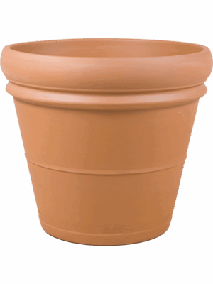 Terra Cotta