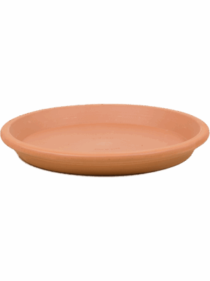 Terra Cotta