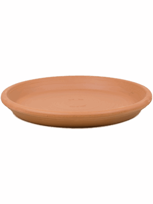 Terra Cotta