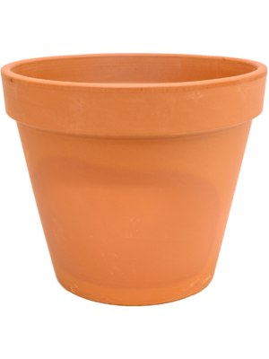 Terra Cotta