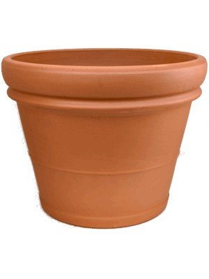Terra Cotta
