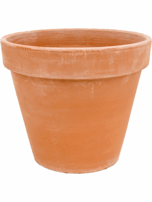 Terra Cotta