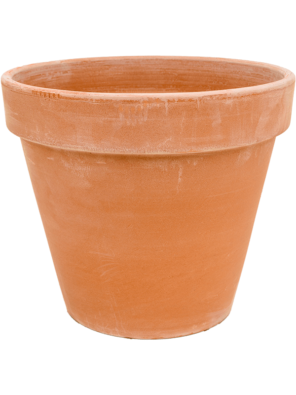 Terra Cotta, Den Daas