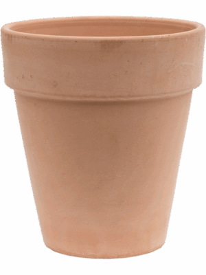 Terra Cotta