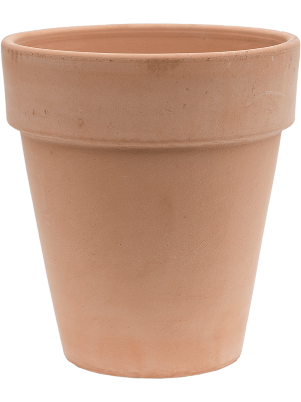 Terra Cotta, Den Daas