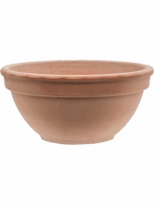 Terra Cotta
