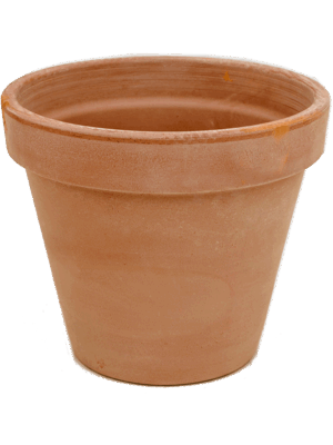 Terra Cotta