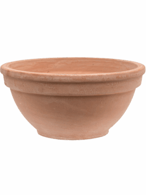 Terra Cotta