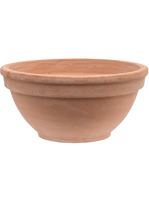Terra Cotta, Den Daas