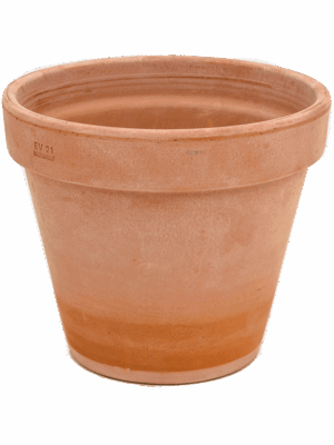 Terra Cotta