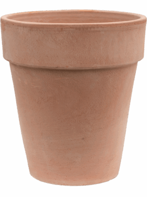 Terra Cotta