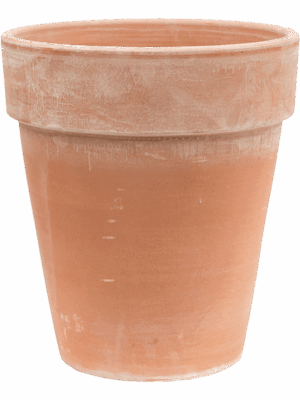 Terra Cotta