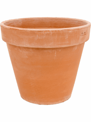 Terra Cotta