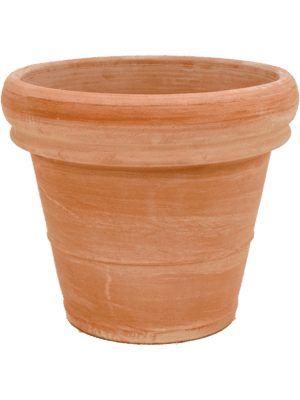 Terra Cotta