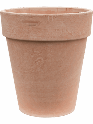 Terra Cotta