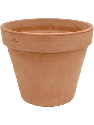 Terra Cotta