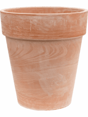 Terra Cotta