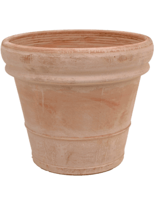 Terra Cotta