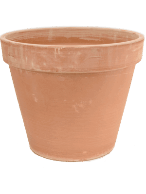 Terra Cotta