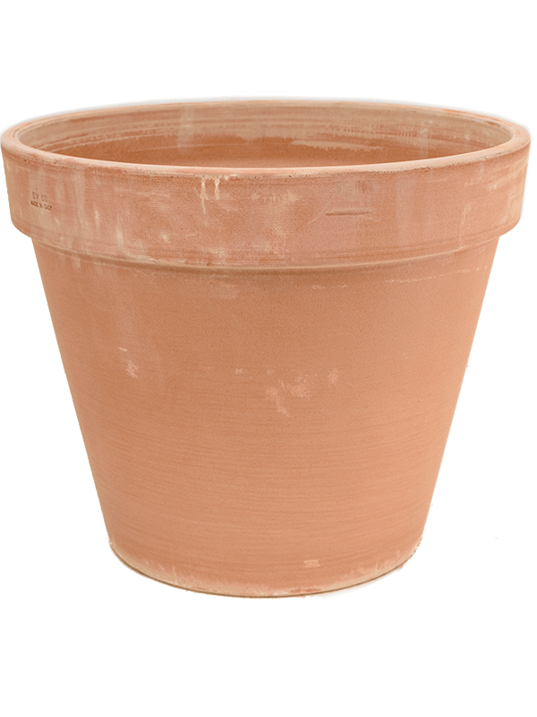 Terra Cotta, Den Daas