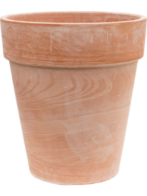 Terra Cotta