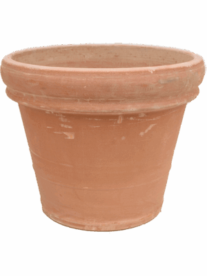 Terra Cotta