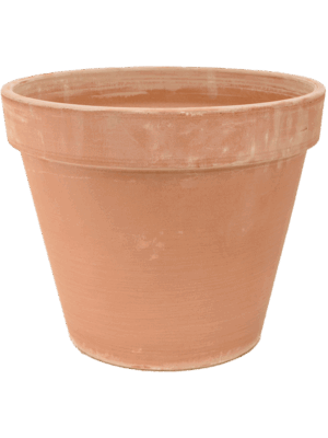 Terra Cotta