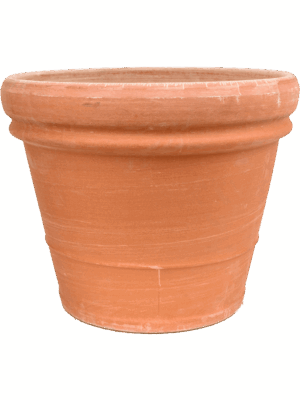 Terra Cotta