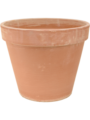 Terra Cotta