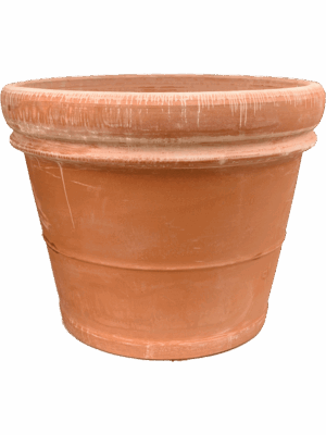 Terra Cotta