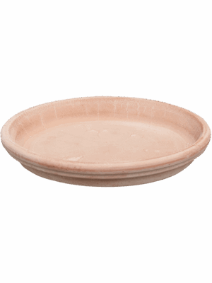 Terra Cotta