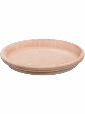 Terra Cotta