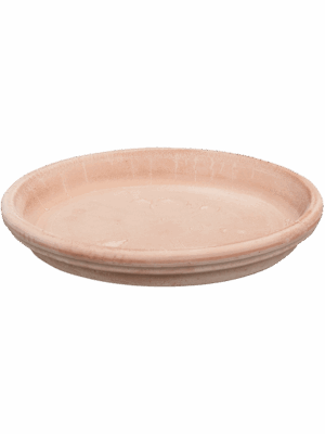 Terra Cotta