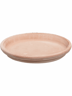 Terra Cotta