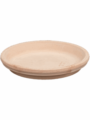 Terra Cotta