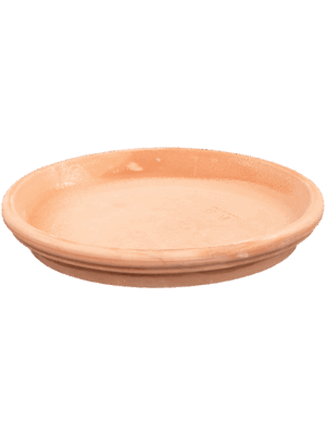 Terra Cotta