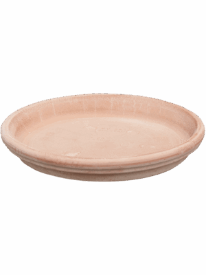 Terra Cotta