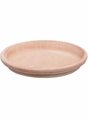 Terra Cotta
